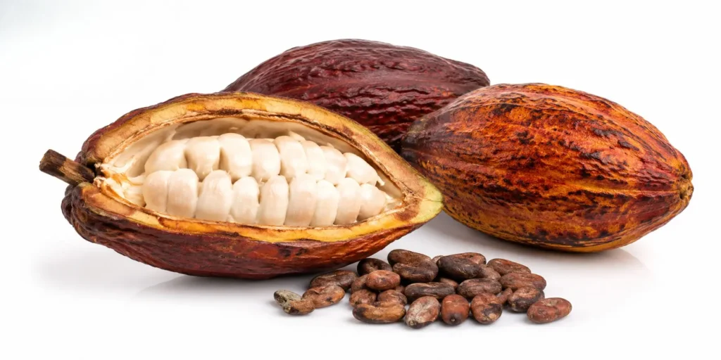 Export-grade African cocoa pods and beans supplied by BV Consulting Ltd