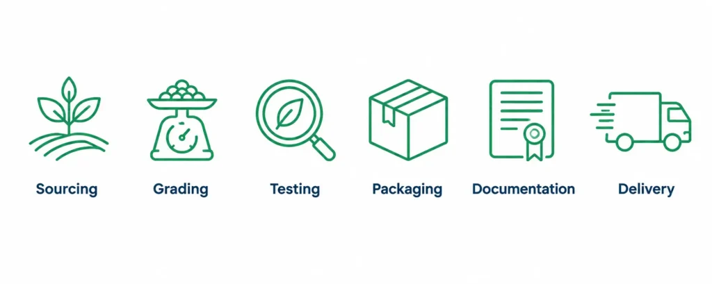 Six-step icon graphic showing Sourcing, Grading, Testing, Packaging, Documentation, and Delivery — BV Consulting's Zero-Rejection Protocol checkpoints