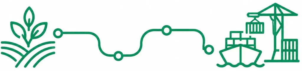 Illustration showing the route from African farm production to international export, representing BV Consulting's sourcing process