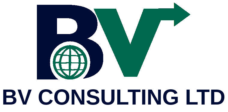 BV Consulting Logo